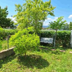 Villa Armenos elegance apartment – Ierissos 4