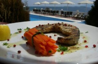 hotel akti 9